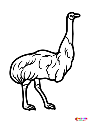 Emu Coloring Pages Printable for Free Download