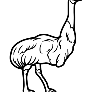 Emu Coloring Pages Printable for Free Download