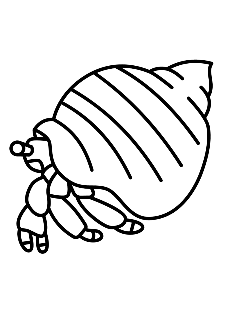 Hermit Crab Coloring Pages Printable for Free Download