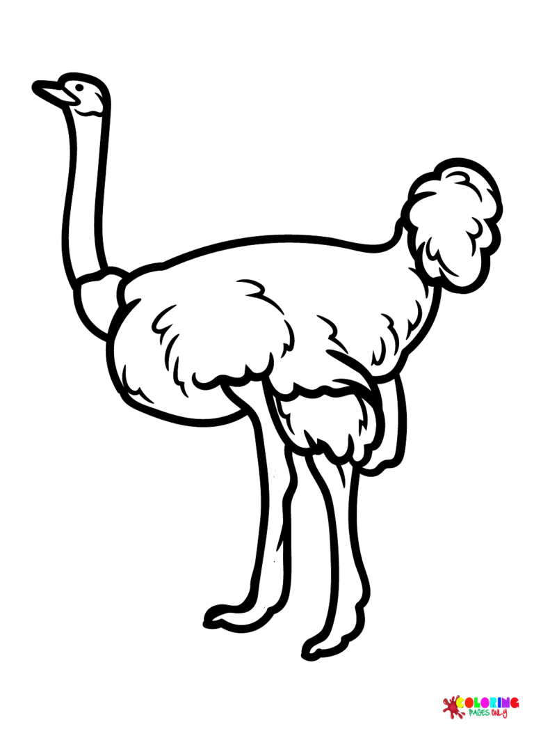 Ostrich Coloring Pages Printable For Free Download