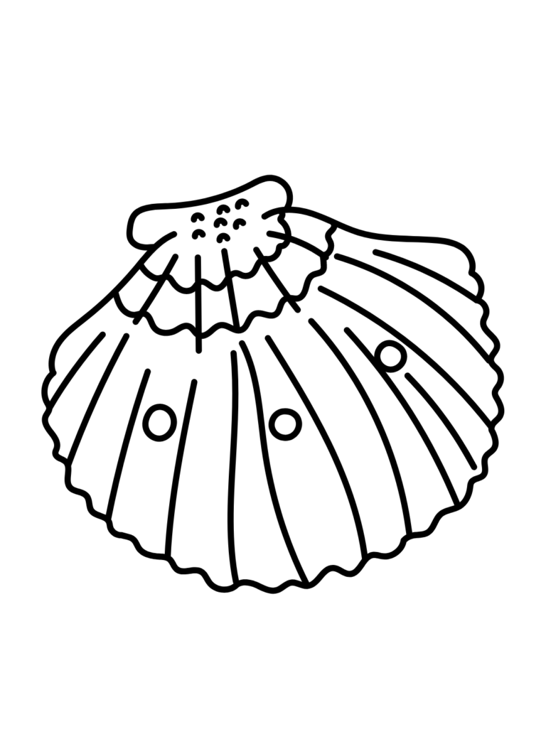 Scallop Coloring Pages Printable for Free Download