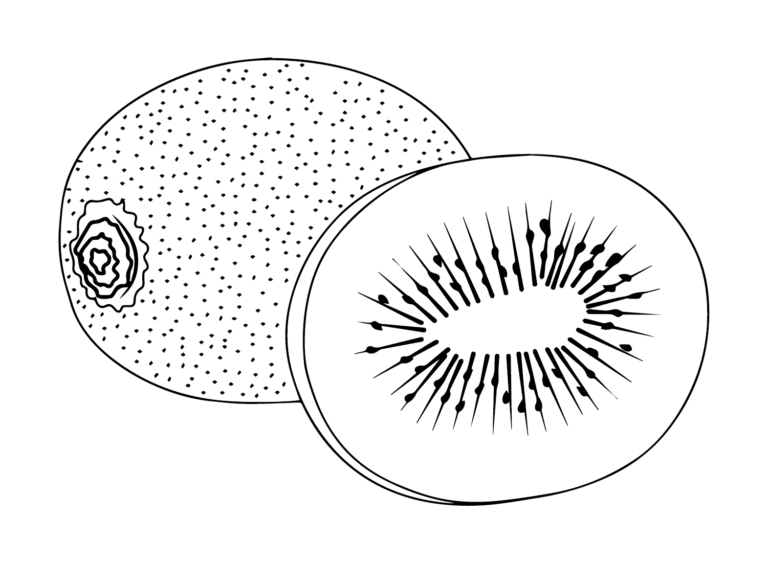 Kiwi Fruit Coloring Pages Printable for Free Download