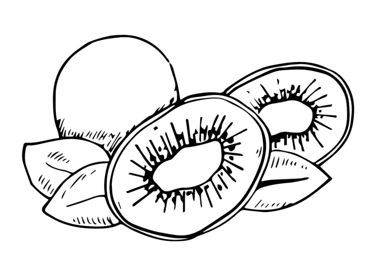 Kiwi Fruit Coloring Pages Printable for Free Download