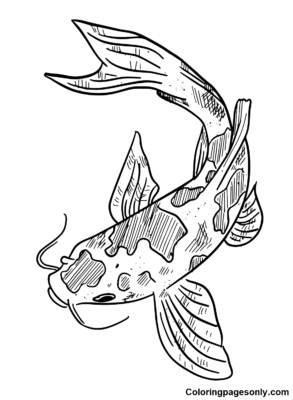 Koi Fish Coloring Pages Printable for Free Download