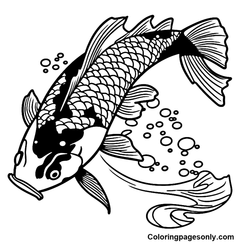 Koi Fish Coloring Pages Printable for Free Download