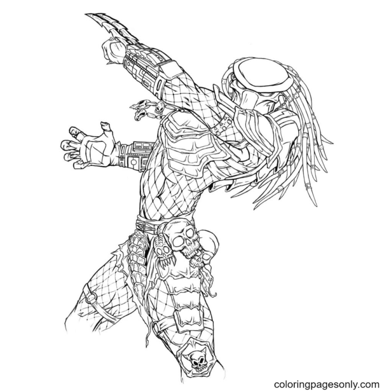 Predator Coloring Pages Printable for Free Download