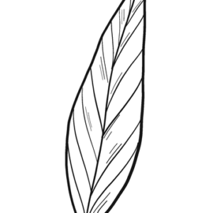 Laurel Coloring Pages Printable for Free Download