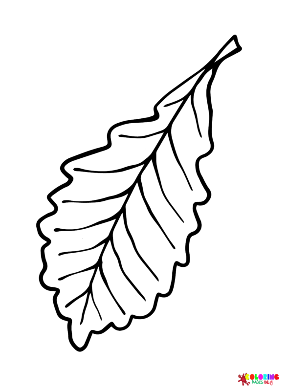 Leaves Coloring Pages Printable for Free Download