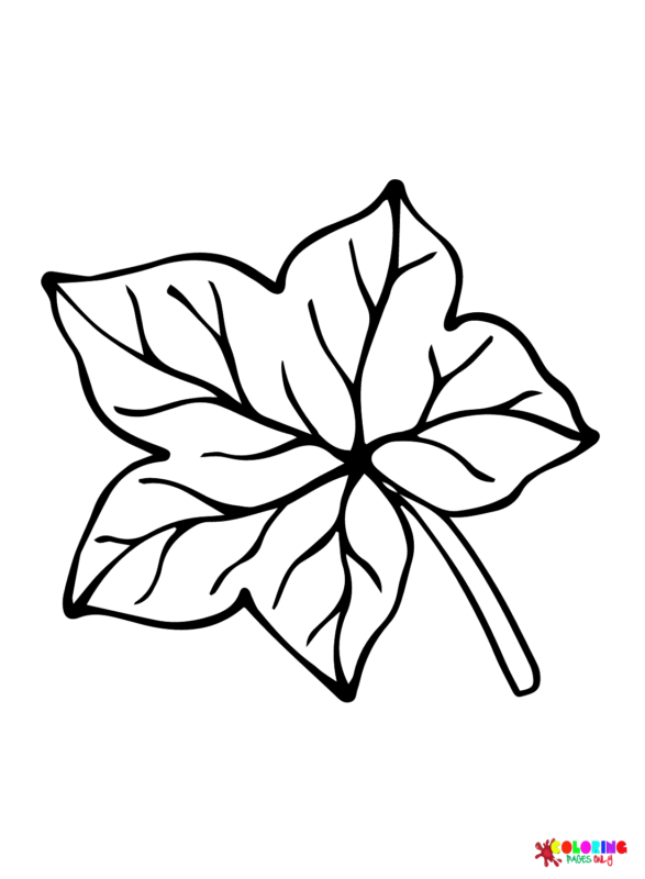 Leaves Coloring Pages Printable for Free Download