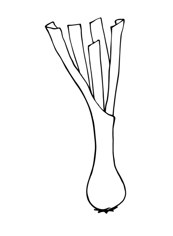 Leek Coloring Pages Printable for Free Download