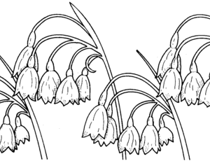 Lily Of The Valley Coloring Pages Printable for Free Download