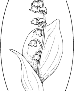 Lily Of The Valley Coloring Pages Printable for Free Download