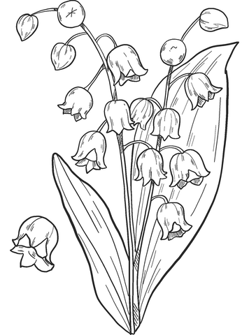 Lily Of The Valley Coloring Pages Printable for Free Download