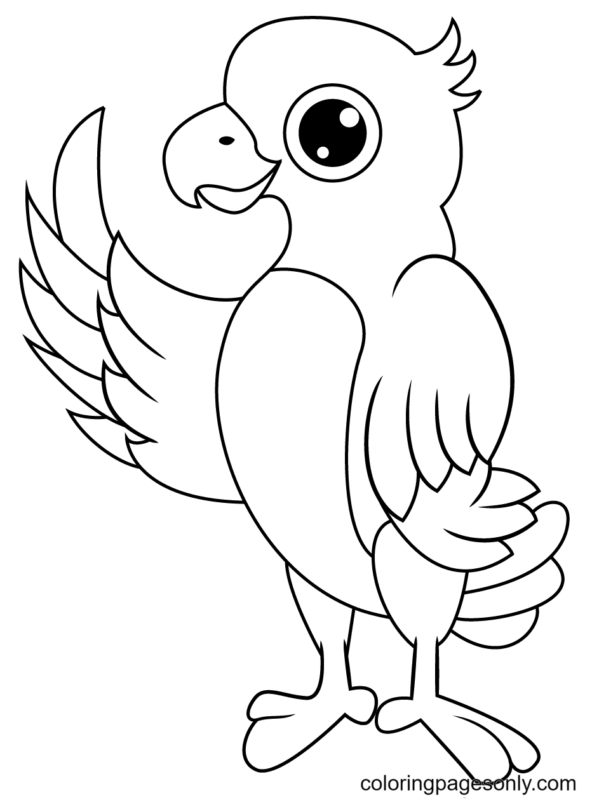 Parrot Coloring Pages Printable for Free Download