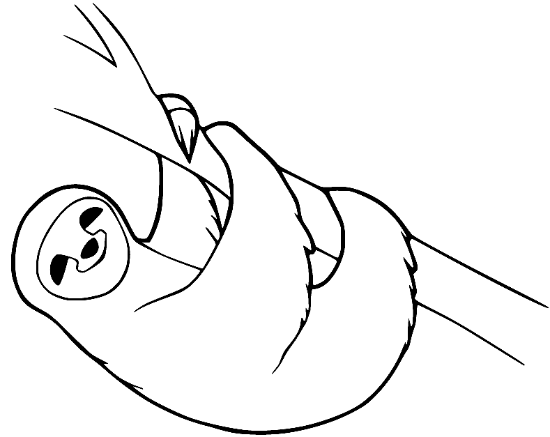 Sloth Coloring Pages Printable for Free Download