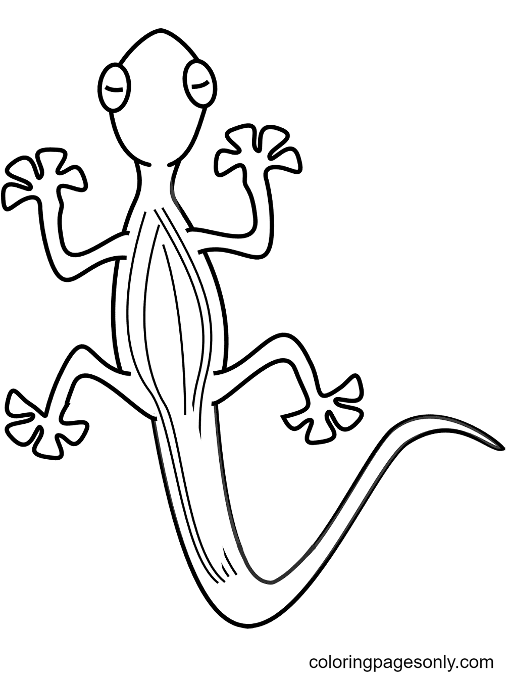 Lizard Coloring Pages Printable for Free Download