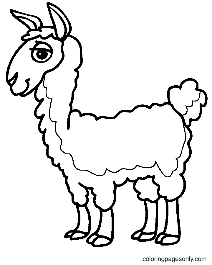 Llama Coloring Pages Printable for Free Download