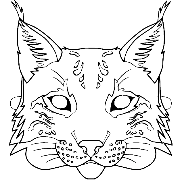 Lynx Coloring Pages Printable for Free Download