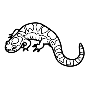 Salamander Coloring Pages Printable for Free Download