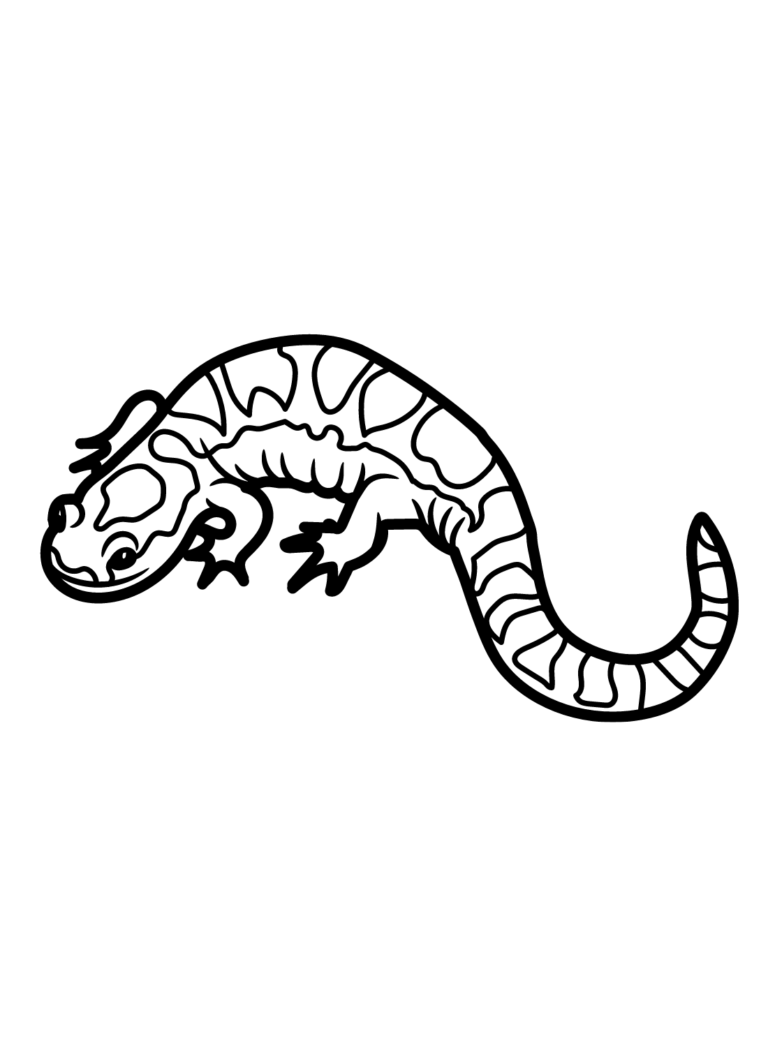 Salamander Coloring Pages Printable for Free Download