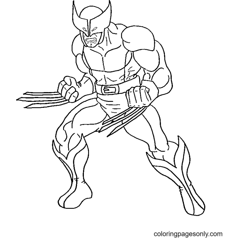 Wolverine Coloring Pages Printable for Free Download