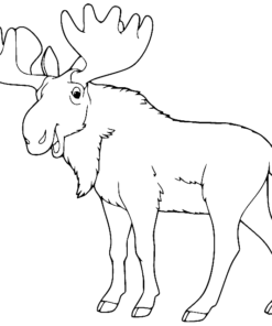 Moose Coloring Pages Printable for Free Download