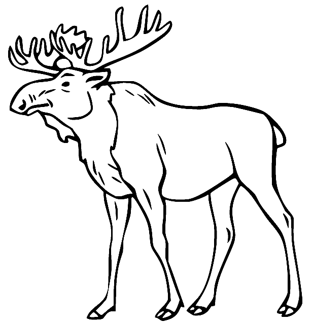 Moose Coloring Pages Printable for Free Download