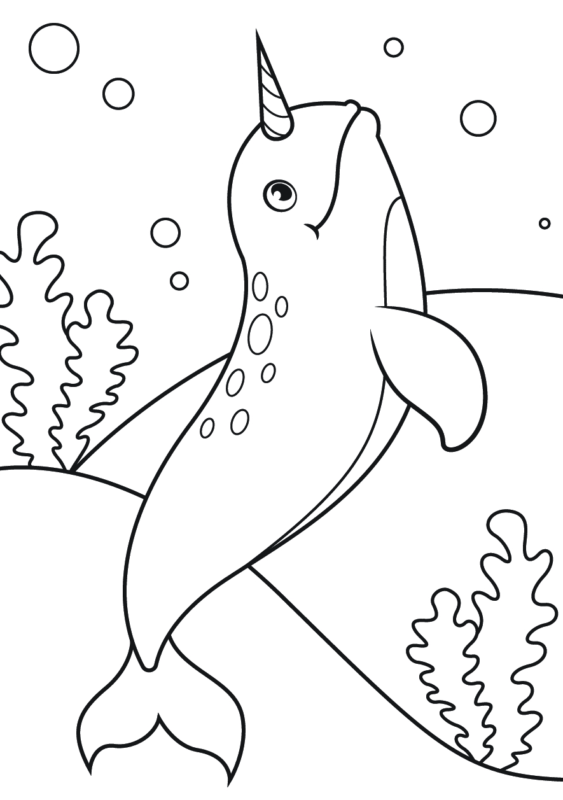 Narwhal Coloring Pages Printable for Free Download