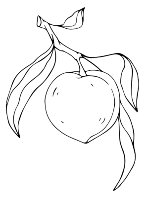 Nectarine Coloring Pages Printable for Free Download