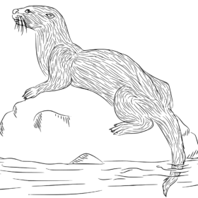 Otter Coloring Pages Printable for Free Download