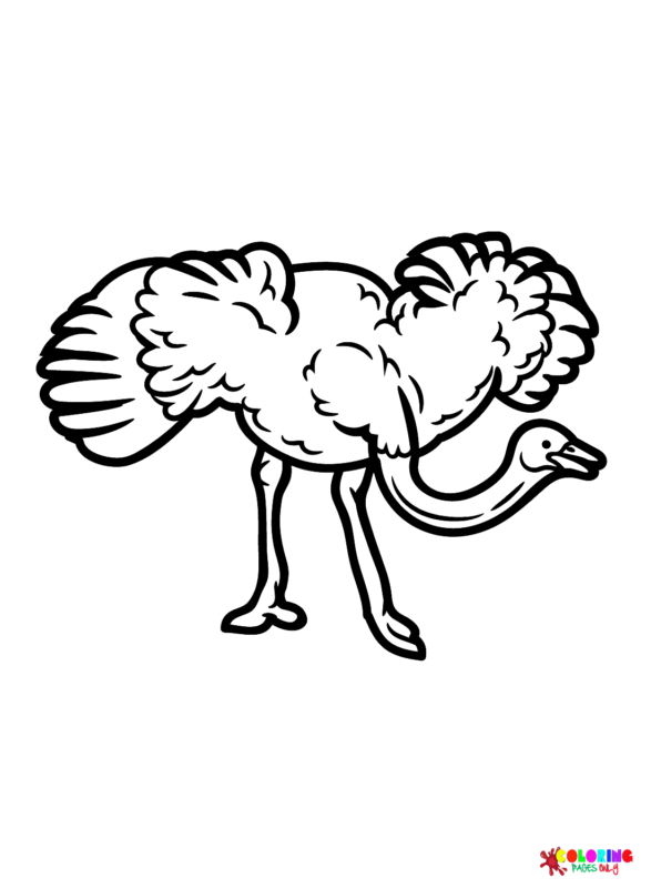 Ostrich Coloring Pages Printable for Free Download