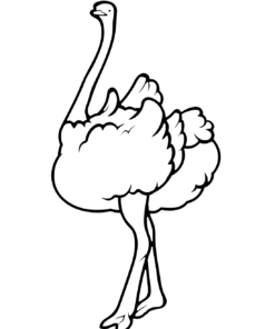 Ostrich Coloring Pages Printable for Free Download