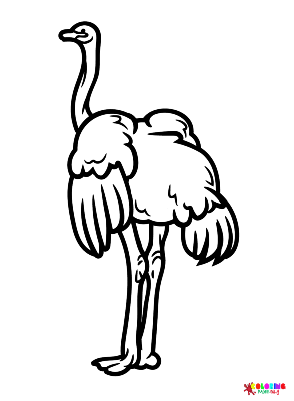 Ostrich Coloring Pages Printable for Free Download