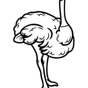 Ostrich Coloring Pages Printable For Free Download