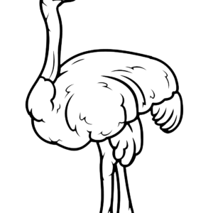 Ostrich Coloring Pages Printable for Free Download