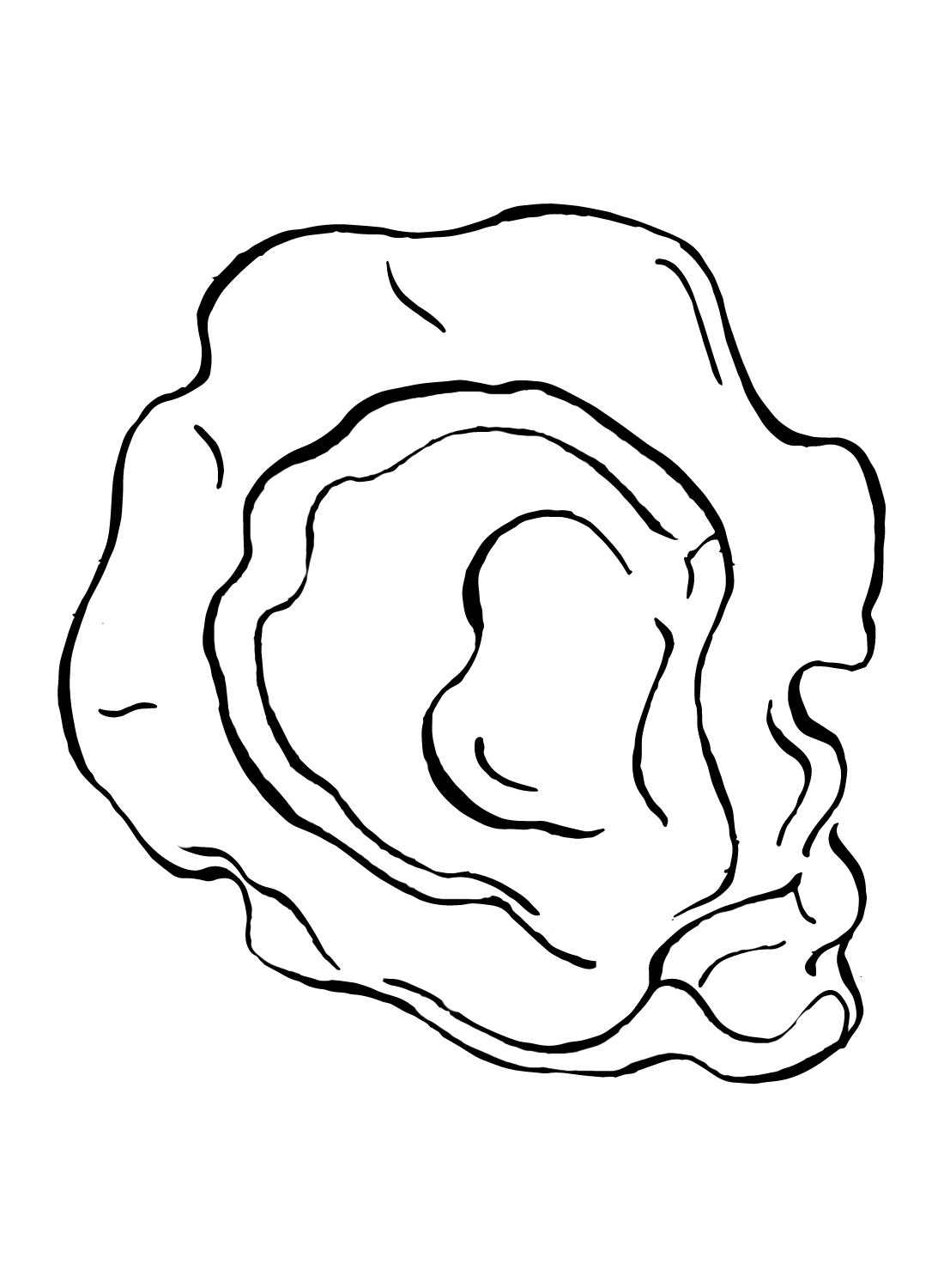 oyster coloring page
