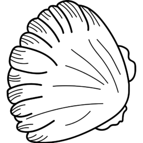 Scallop Coloring Pages Printable for Free Download