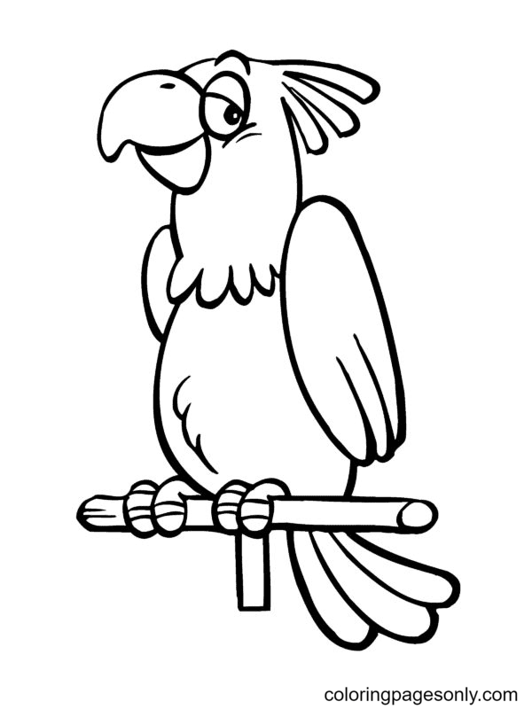 Parrot Coloring Pages Printable for Free Download