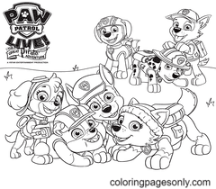paw patrol zuma coloring page