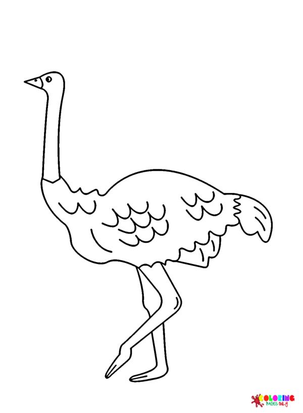 Emu Coloring Pages Printable for Free Download