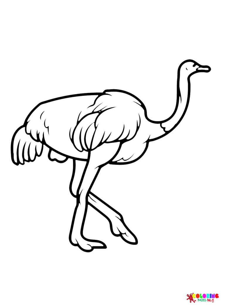 Ostrich Coloring Pages Printable for Free Download