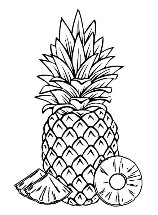 Pineapples Coloring Pages Printable for Free Download