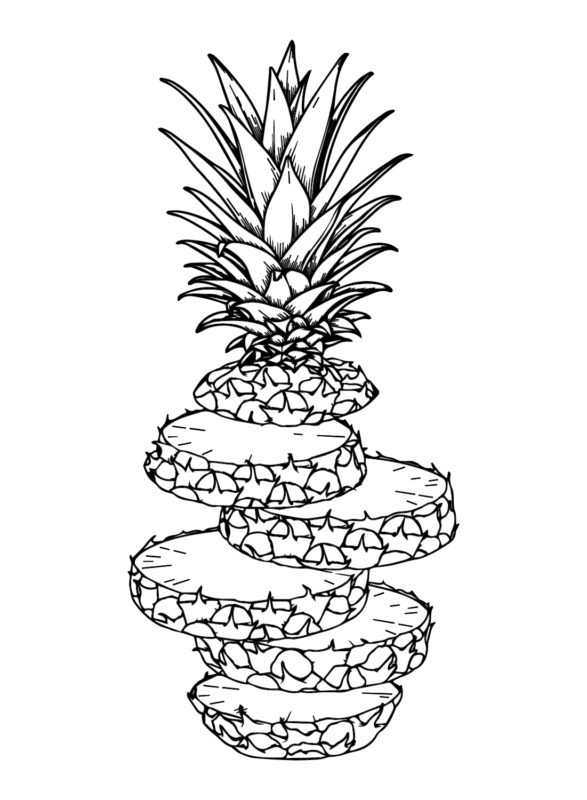 Pineapples Coloring Pages Printable for Free Download