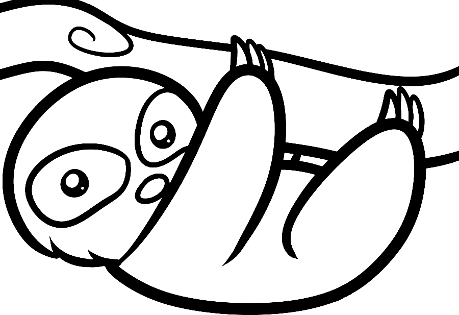 Sloth Coloring Pages Printable for Free Download