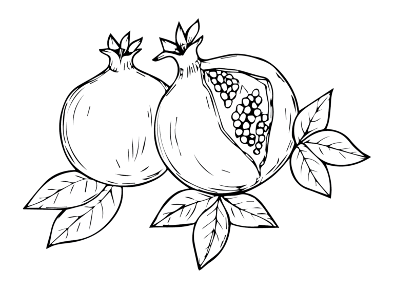 Pomegranate Coloring Pages Printable for Free Download