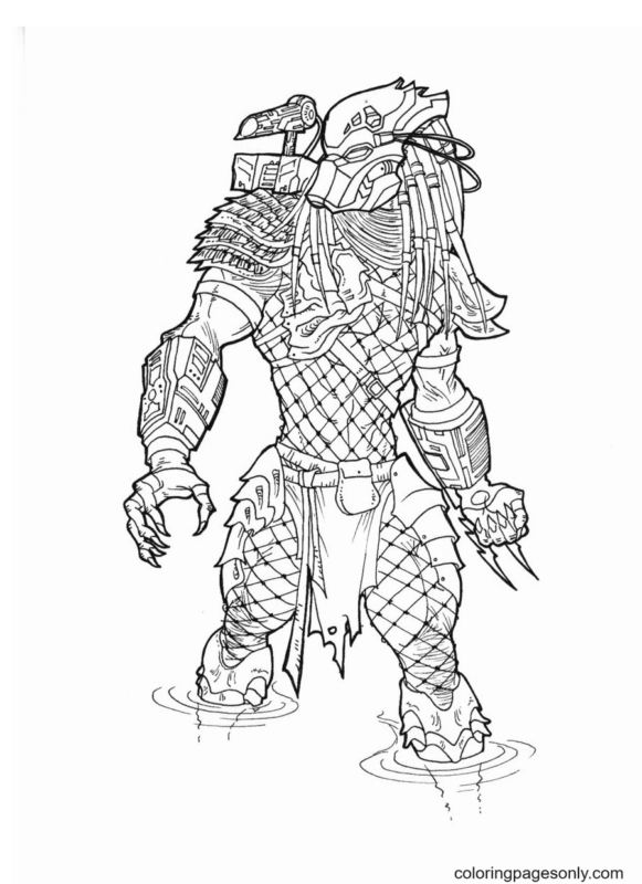 Predator Coloring Pages Printable For Free Download