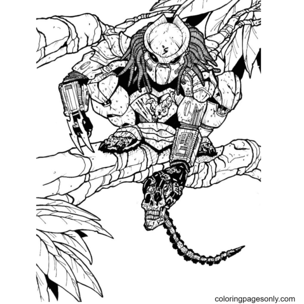 Predator Coloring Pages Printable for Free Download