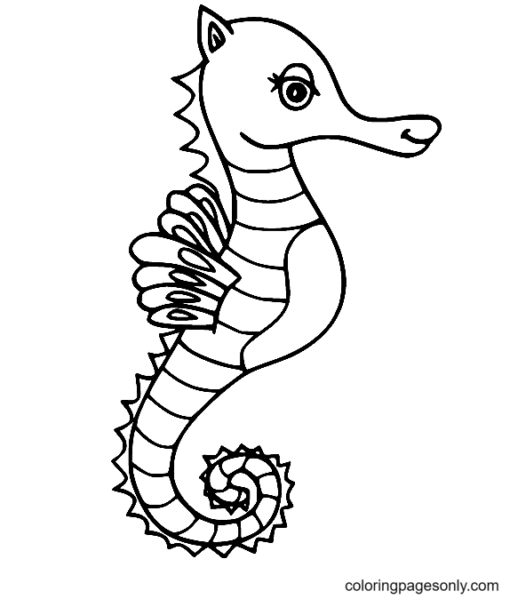 Seahorse Coloring Pages Printable for Free Download