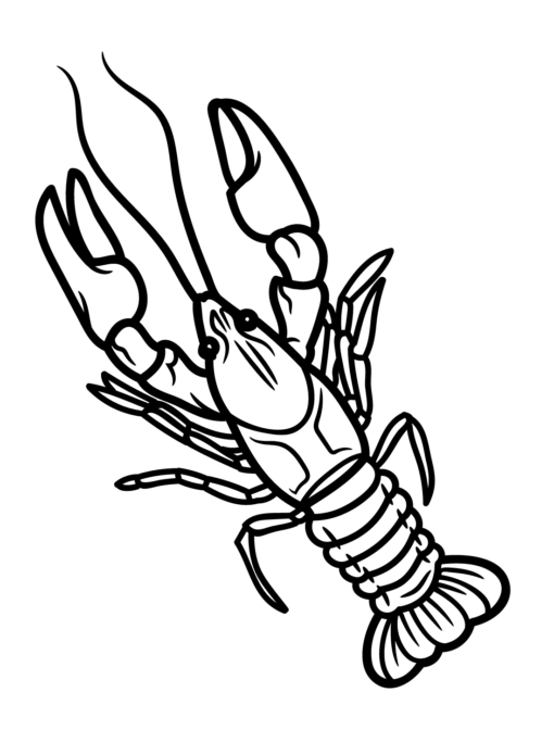 Crawfish Coloring Pages Printable for Free Download