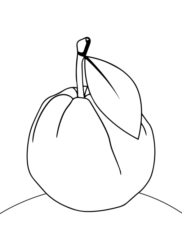 Guavas Coloring Pages Printable for Free Download